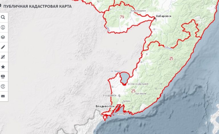 Публичная кадастровая карта приморского края 2021