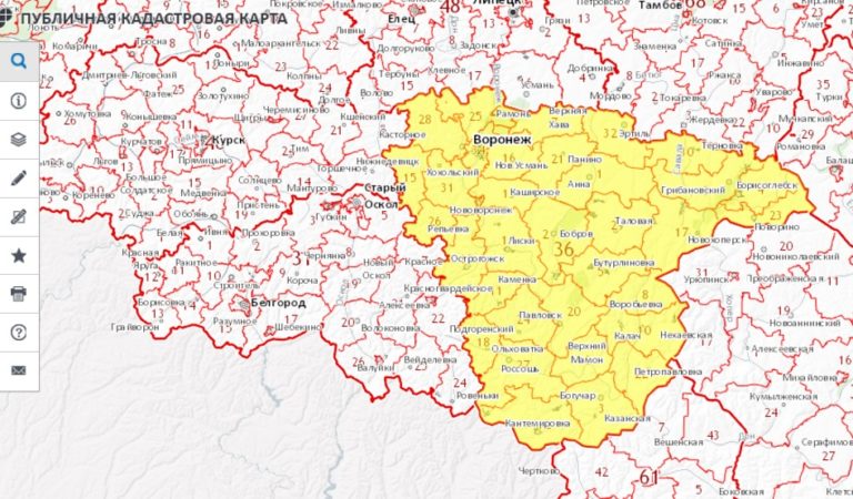 Публичная кадастровая карта росреестра воронежской области 2022